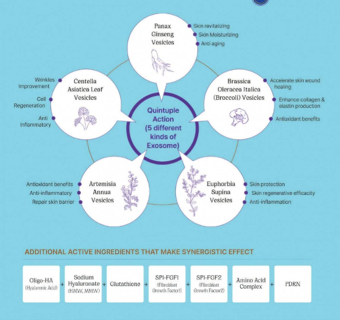 Exozomi - Dermaren - Elixom - 3 ml